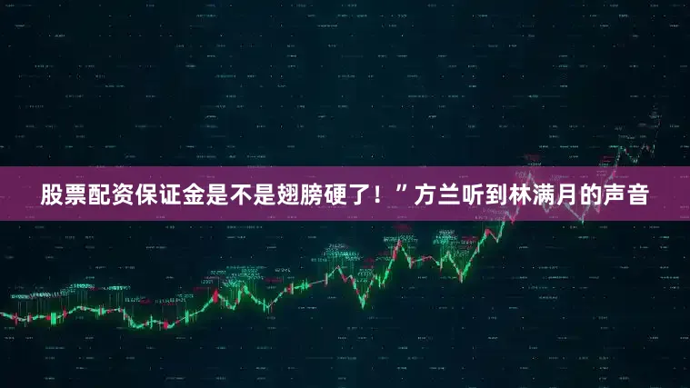 股票配资保证金是不是翅膀硬了！”方兰听到林满月的声音