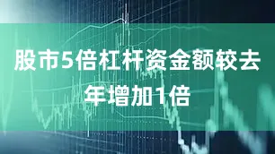 股市5倍杠杆资金额较去年增加1倍