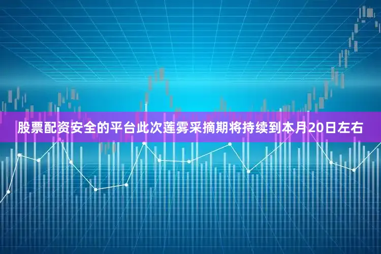 股票配资安全的平台此次莲雾采摘期将持续到本月20日左右