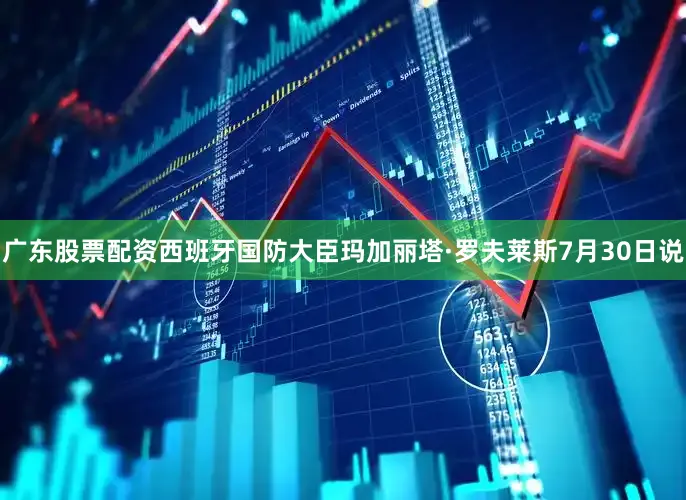 广东股票配资西班牙国防大臣玛加丽塔·罗夫莱斯7月30日说