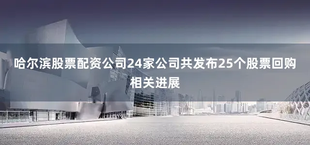 哈尔滨股票配资公司24家公司共发布25个股票回购相关进展